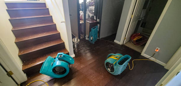 Best Water damage repair service  in Jersey Shore, PA