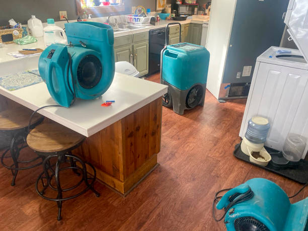 Best Flooded house restoration  in Jersey Shore, PA