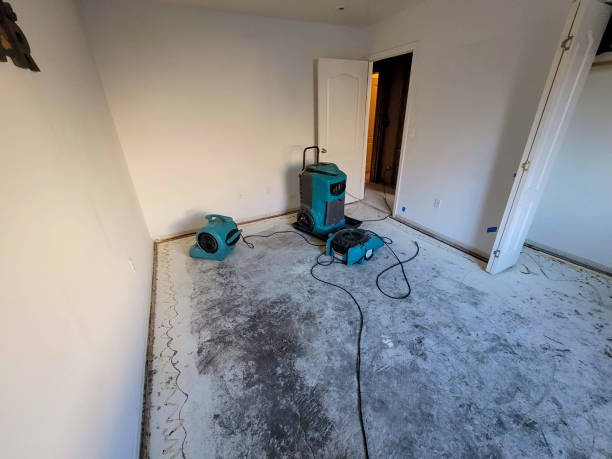 Best Fire Damage Restoration  in Jersey Shore, PA