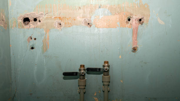 Best Basement water damage restoration  in Jersey Shore, PA