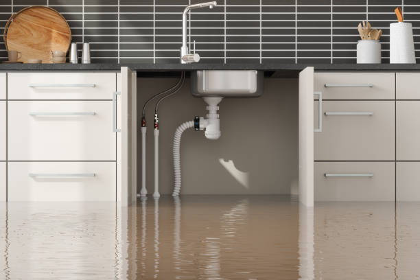 Best Ceiling water damage repair  in Jersey Shore, PA