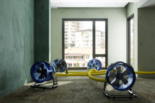 Best Water damage restoration near me  in Jersey Shore, PA