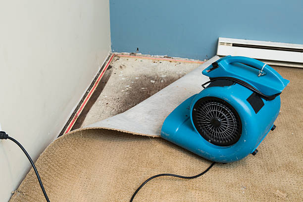Best Emergency water damage restoration  in Jersey Shore, PA